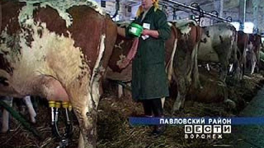 С 5 апреля ужесточились требования к качеству молока