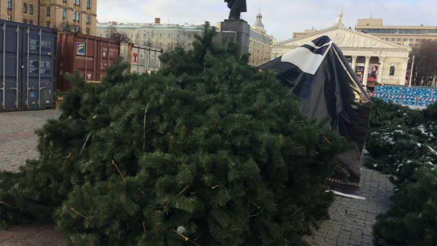 В Воронеже начали устанавливать ёлку, которая по цене обогнала даже Кремлёвскую