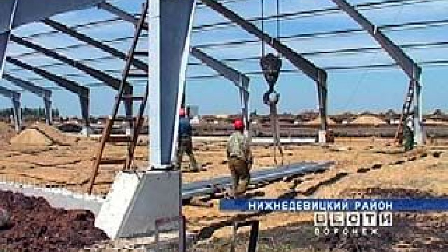 В Нижнедевицком районе появится селекционный свиноводческий комплекс