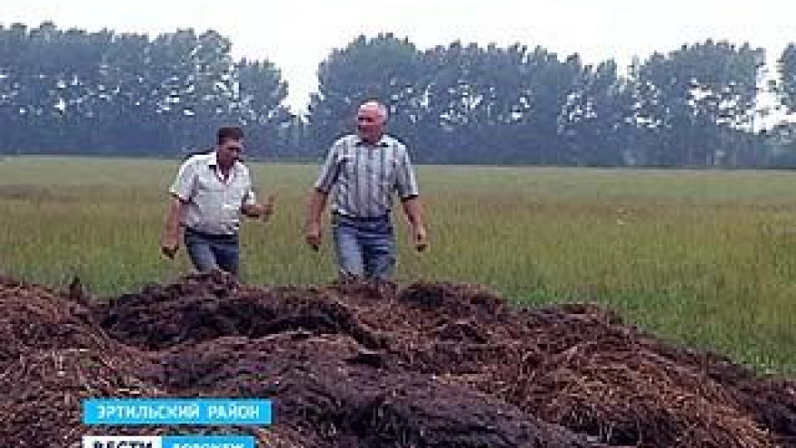 Село Ячейки Эртильского района тонет в отходах животноводческой фермы