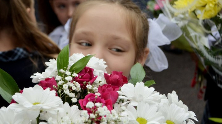 На улице Артамонова в Воронеже построят новую школу