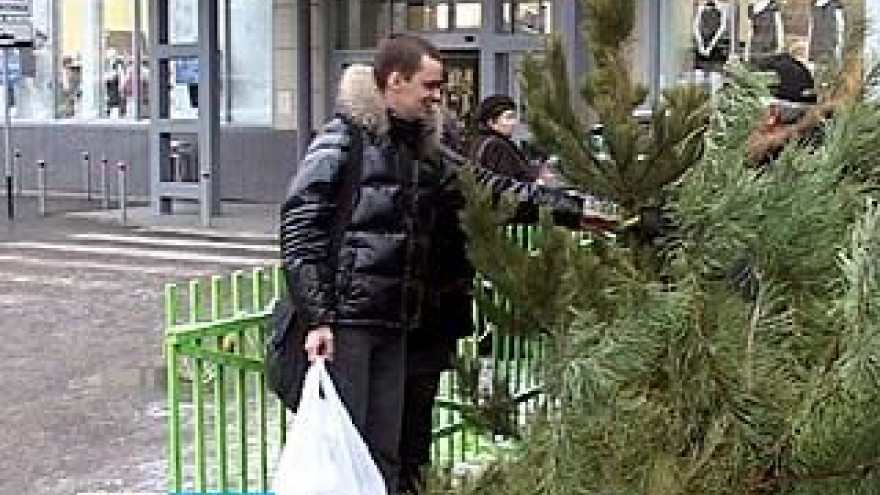 В Воронеже должны заработать 160 ёлочных базаров