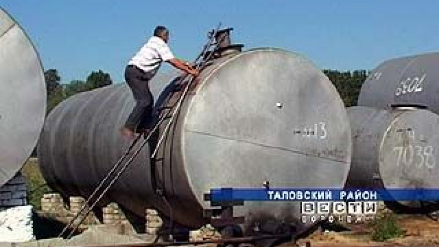 Воронежские крестьяне мечтают, чтобы уборочная не заканчивалась