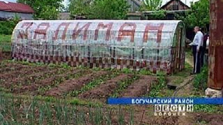 В Давыдовке в собственной теплице погибла целая семья