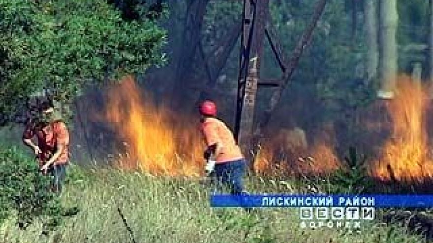 В Лисках вторые сутки продолжается борьба с крупным лесным пожаром