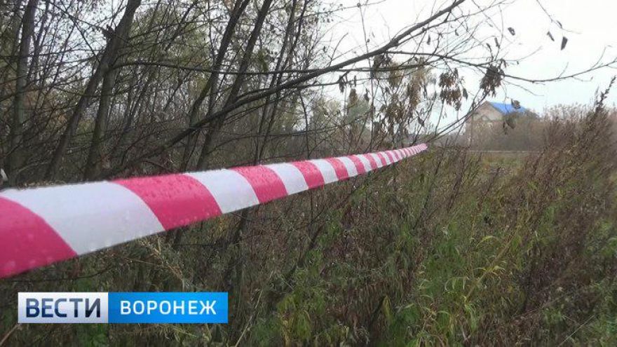 Школьницу в воронежском селе 14-летний одноклассник убил за травлю и издевательства