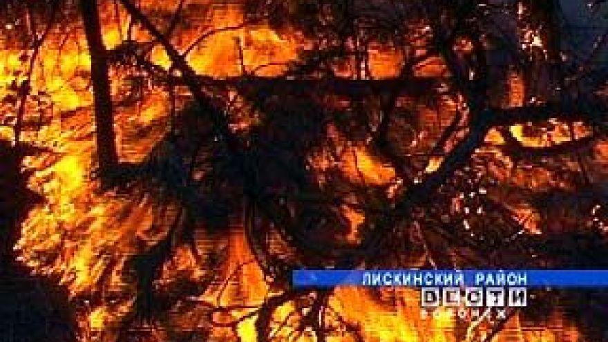На птицеферме в Лискинском районе произошел пожар