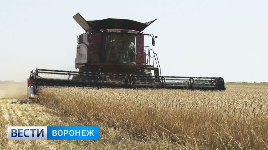 Воронежские аграрии отметили День работника сельского хозяйства