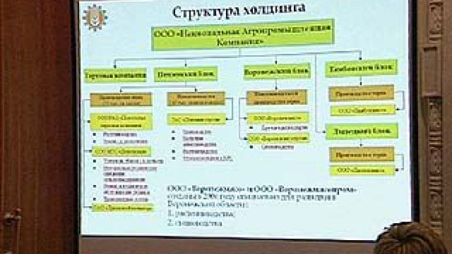 В Воронежской области появится новый холдинг