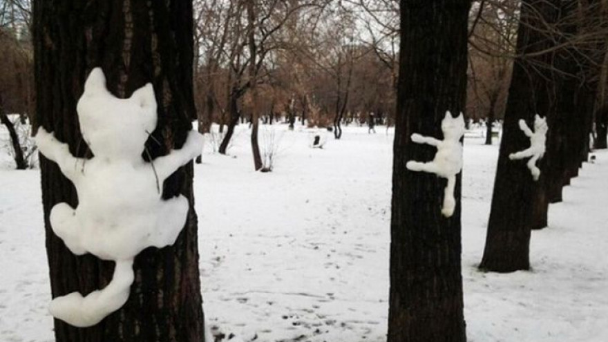 Прогноз погоды на 24.12.16