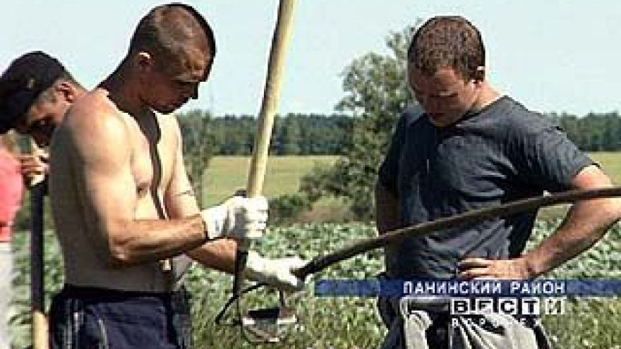 Инспекцию будущего урожая провели в колонии-поселении