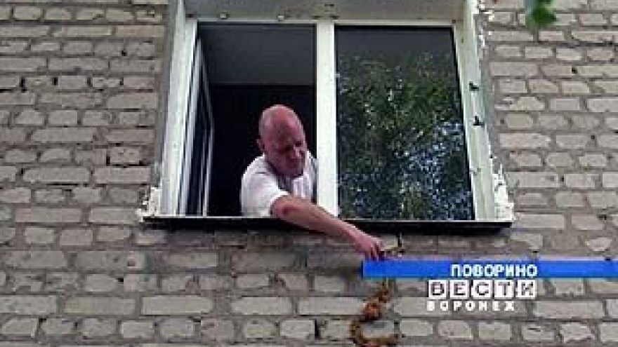 Чиновники предложили поворинцам провести экспертизу за свой счет