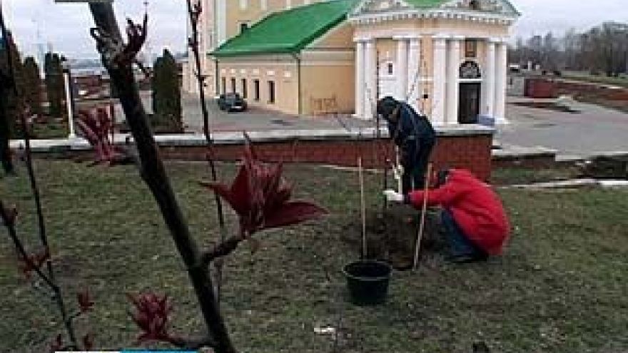 Воронежские власти предлагают наказать тех, кто уклонился от субботника
