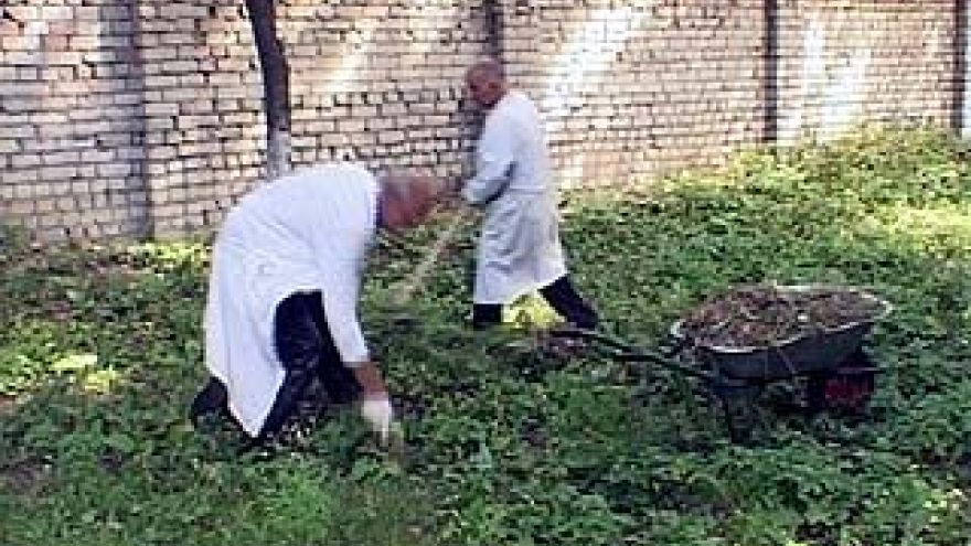 В Воронеже стартовала антикризисная программа занятости населения