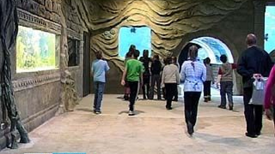 В Воронеже открылся океанариум