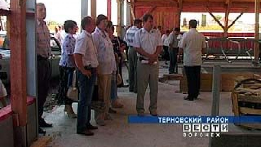 Эффективность животноводства обсудили в Терновском районе