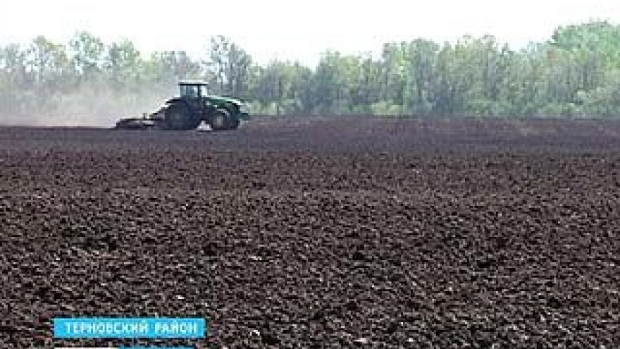В Терновском районе из-за урагана готовятся пересевать свеклу