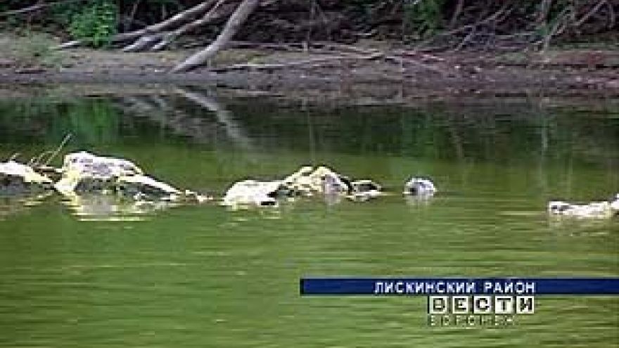 Из-за сильной жары упал уровень воды в реке Дон