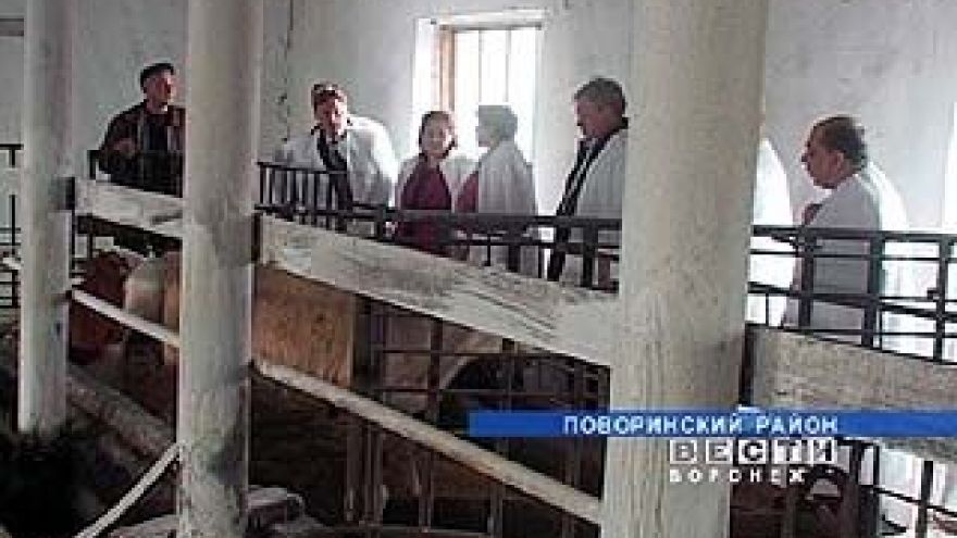 Поворинский район в экономическом соревновании занял 19 место в области