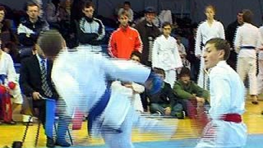 Открытый чемпионат области по каратэ финишировал в Воронеже
