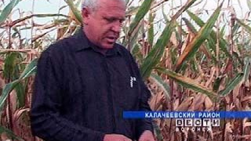Владельцы приусадебных хозяйств смогут получать выгодные кредиты