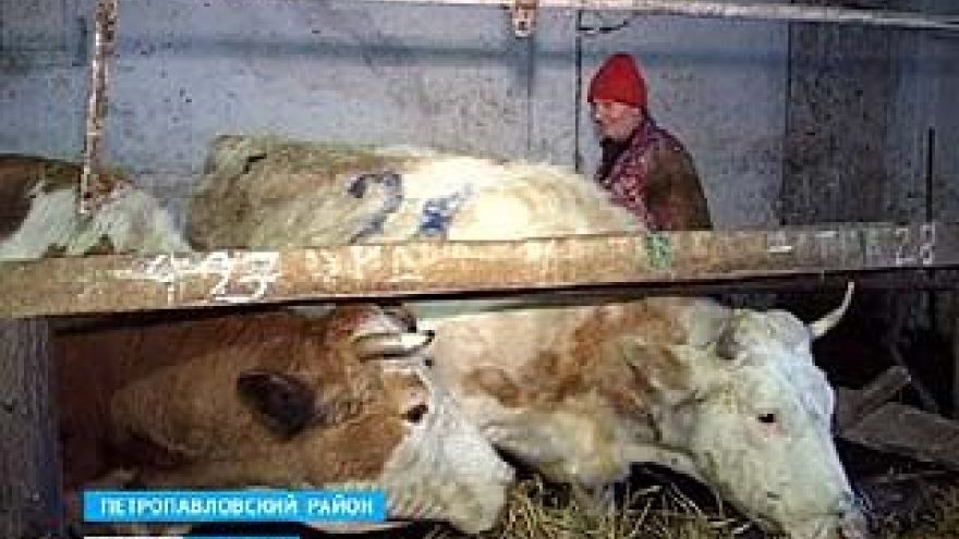 В Старокриушанскую артель направили более 440 тысяч рублей субсидий