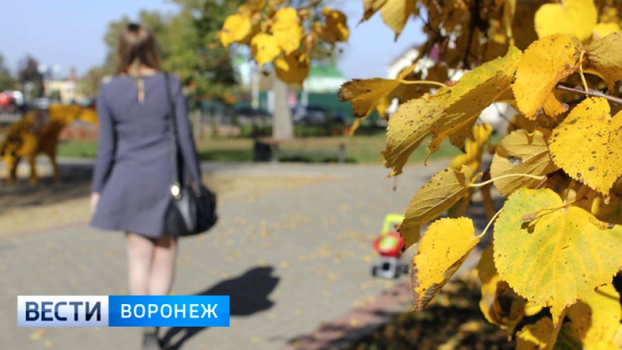 Синоптики рассказали, придёт ли в Воронежскую область «бабье лето»