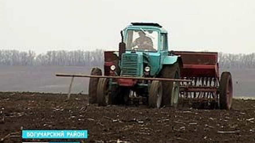 Южные районы области начали посевную яровых культур