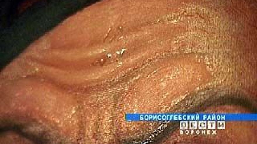 В храме Борисоглебского района произошло чудо