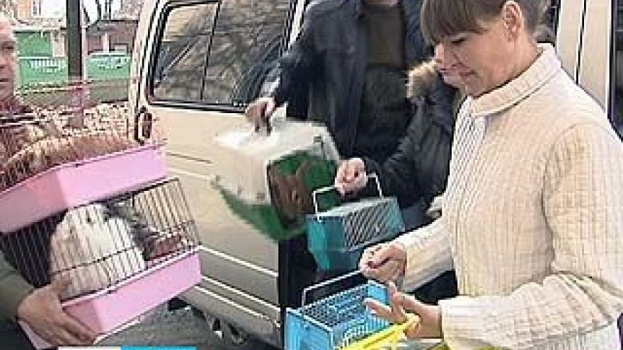 В Воронеже начались дни защиты от экологической опасности