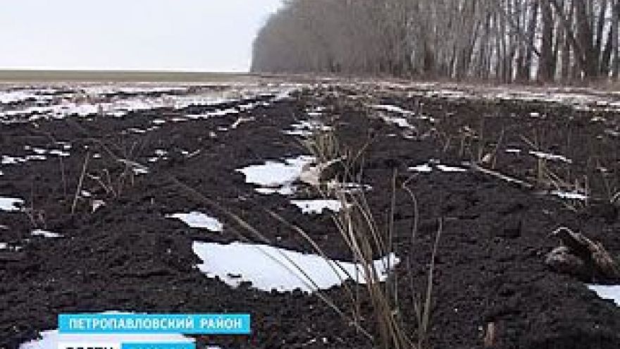 Сухая осень сильно навредила озимым на воронежских полях