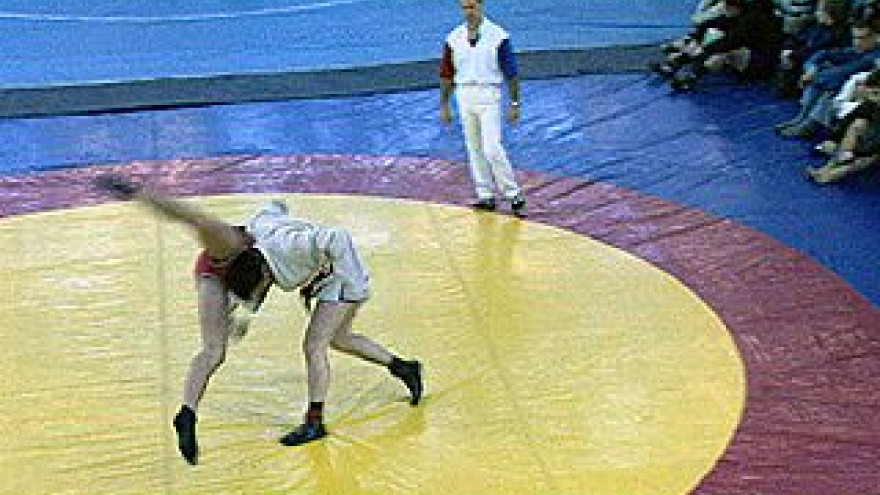 Более двухсот спортсменов участвовали в первенстве по самбо