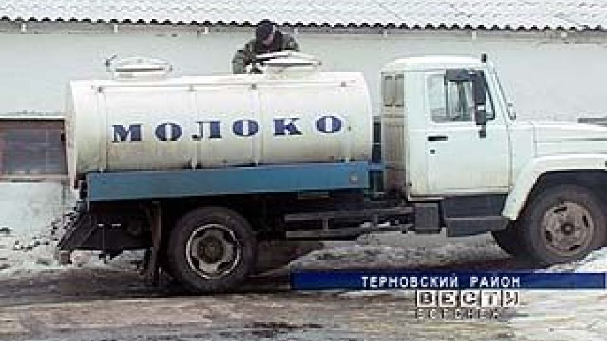 Перекупщики молока задолжали терновским животноводам 2 миллиона рублей