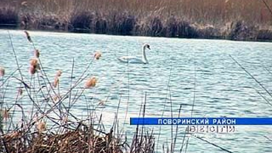 В Поворинском районе кипят страсти вокруг озера Ильмень