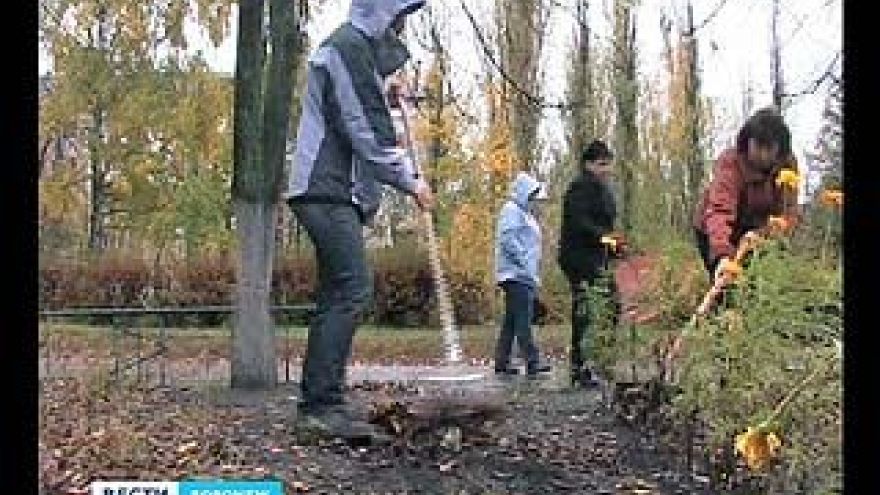 В общегородском субботнике участие приняли более 9 тысяч воронежцев
