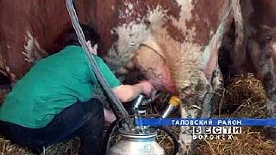 В Таловой встретились лучшие районные операторы машинного доения