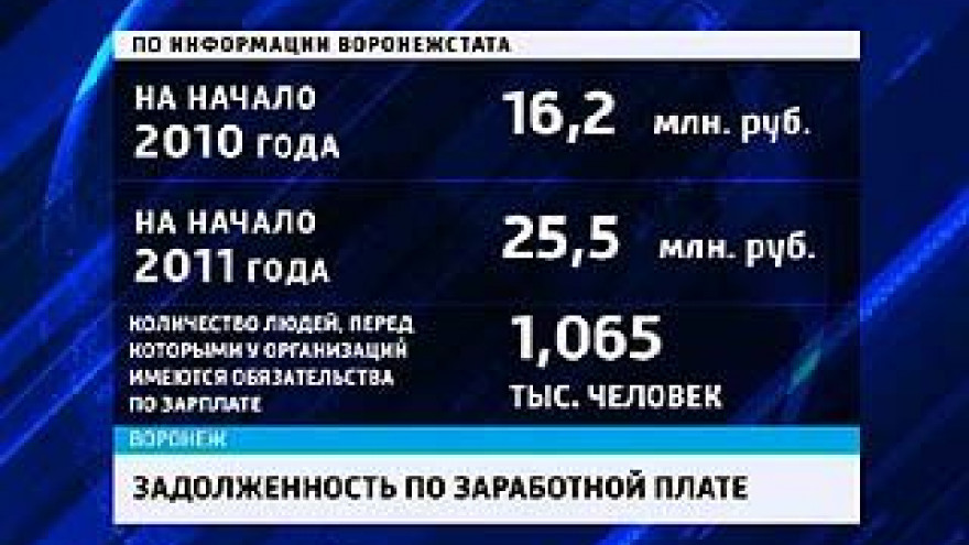 Задолженность по зарплате перед воронежцами за прошлый год составила 25 млн руб.