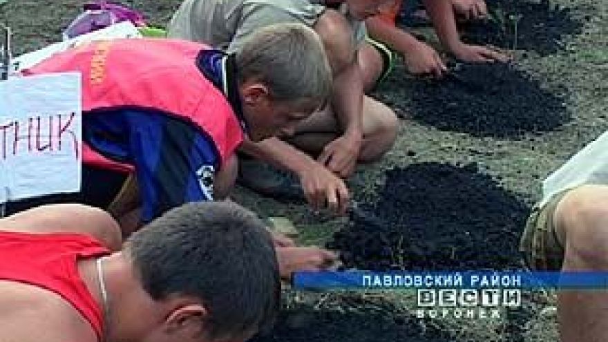Около села Лосево Павловского района прошли археологические слёты