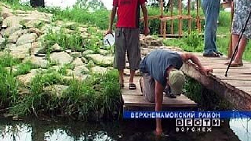 В Воронежской области сохраняют родники