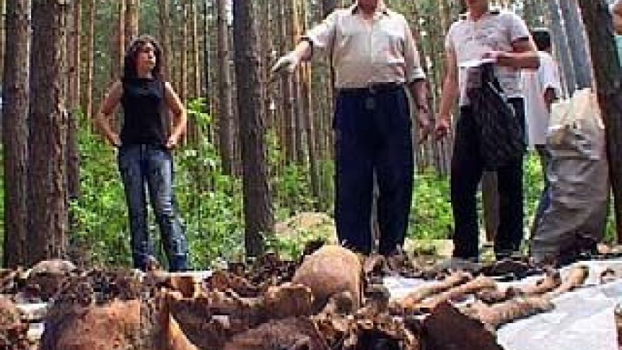 В Дубовке начались раскопки массового захоронения жертв репрессий