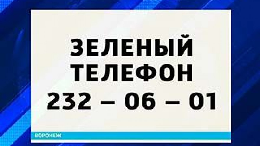 Звонки на "зелёный" телефон Воронежского департамента экологии идут в режиме нон-стоп