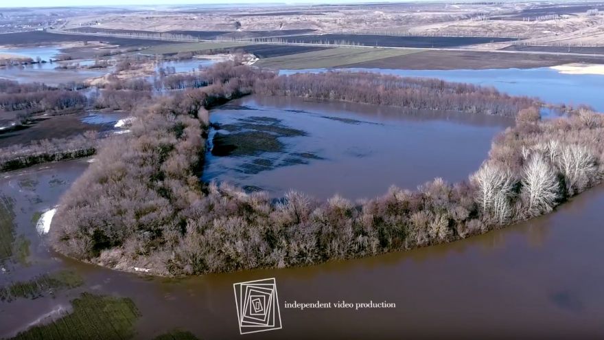 «Весна перестаралась». На видео попал ещё один затопленный район Воронежской области