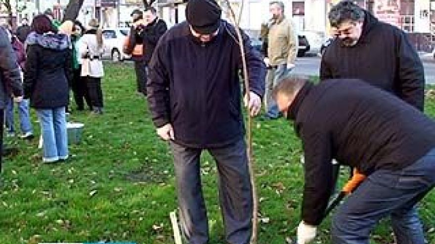 В Кольцовском бульваре высадили около 600 кустарников и молодых клёнов