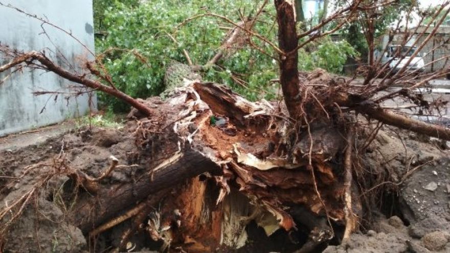 Видеоподборка природных катаклизмов Воронежской области появилась в сети