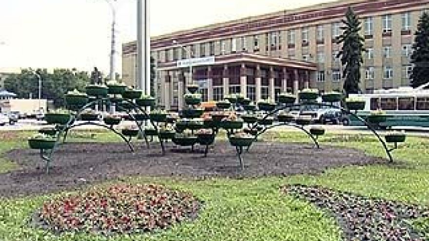 В Воронеже открылся цветочный фонтан