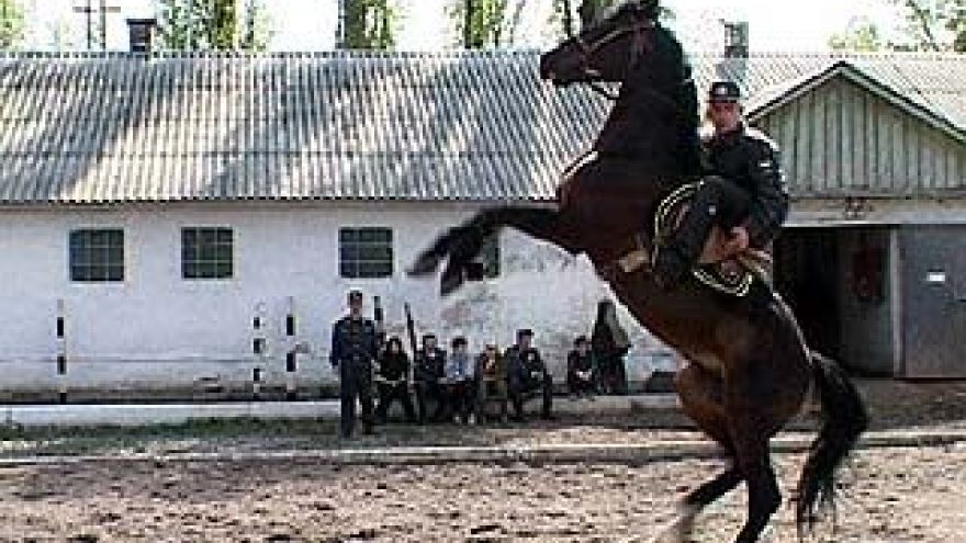50 лошадей ежедневно помогают стражам порядка в работе