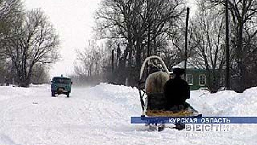 Жители Курской области завидуют провинциям Воронежа