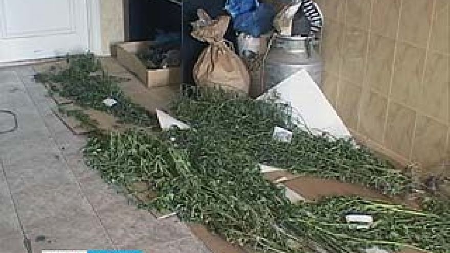 Жечь наркотики можно до того, как уголовное дело будет рассмотрено в суде