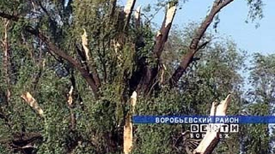 На село Солонцы Воробьёвского района налетел смерч