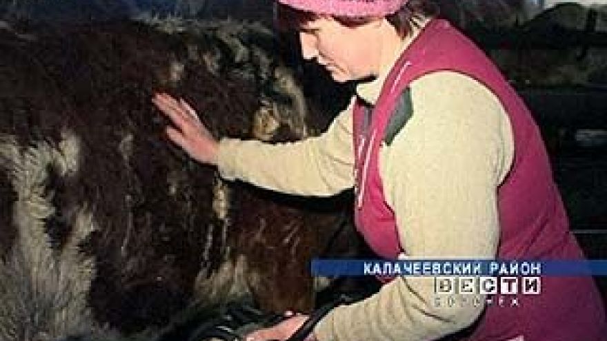 Ольга Шушпанова на протяжении 5-ти лет становится "Лучшей по профессии"